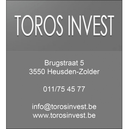 Toros Invest