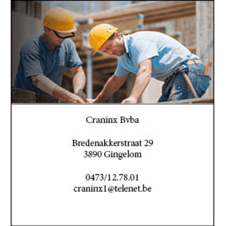 Craninx Bvba