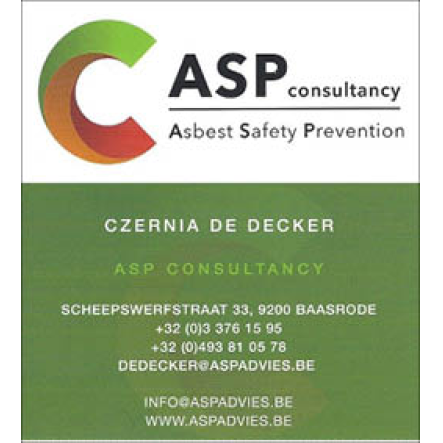 ASP Consulting