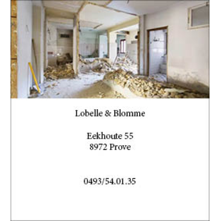 Lobelle & Blomme