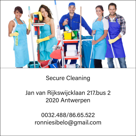 Secure Cleaning 