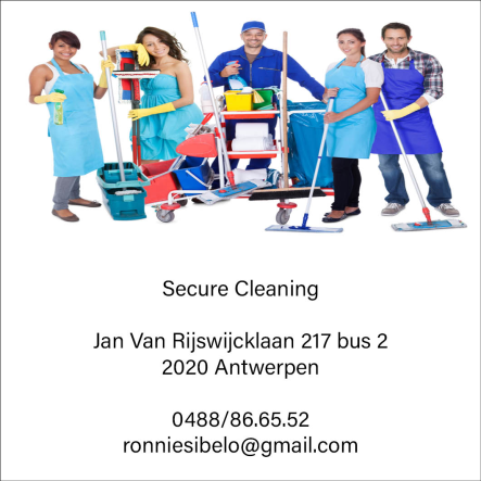Secure Cleaning 