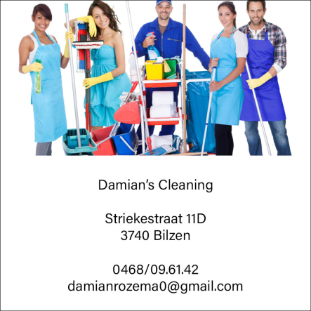 Damian's Cleaning