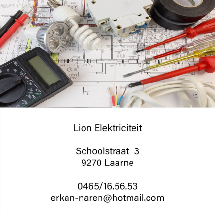 Lion Elektriciteit 